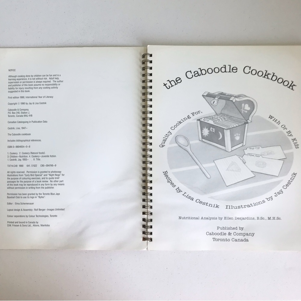 Vintage 90s Rare Caboodle Cookbook by Jay & Lisa Cestnik - Picture 4 of 11